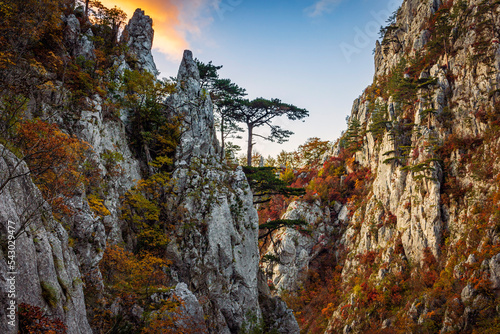 Tasnei Gorges, Romania © catalinlazar