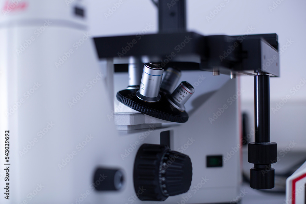 fluorescence microscope at the cell culture laboratory fluorescence microscope at the cell culture laboratory