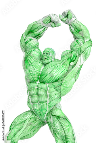 muscle maps of a strong man