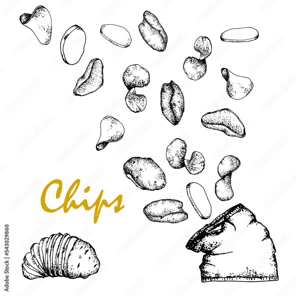 Chips.Black and white sketch, hand drawn, Vector, isolated on white