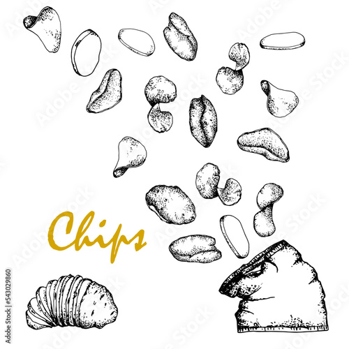 Chips.Black and white sketch, hand drawn, Vector, isolated on white background, bag of chips of different shapes.For packaging, design of bars, menus, labels