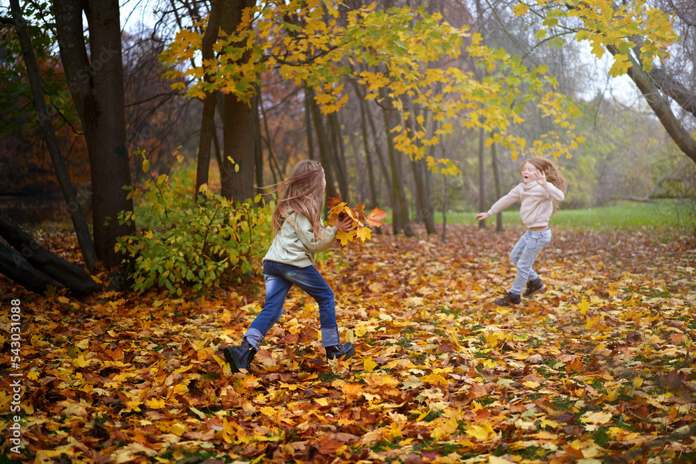 A fun battle for throwing leaves by siblings by children on a warm autumn day in nature. Autumn leaves are flying around. Copy space for your design. A fun battle for throwing leaves by siblings by children on a warm autumn day in nature. Autumn leaves are flying around. Copy space for your design.