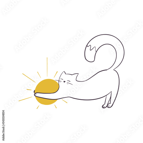 Vector illustration. A cat and the sun.