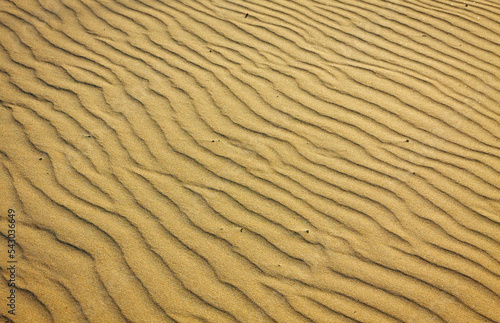 Fototapeta Naklejka Na Ścianę i Meble -  Background from small sand dunes on the beach