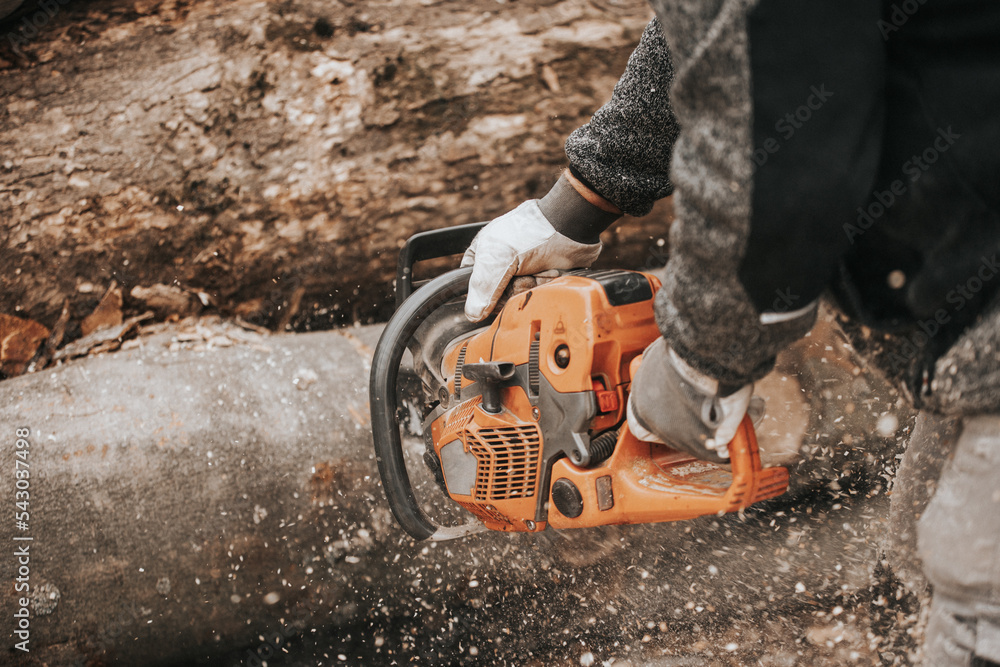 Young man cutting the huge felled wood by chainsaw, create winter wood stocks, industrial concept