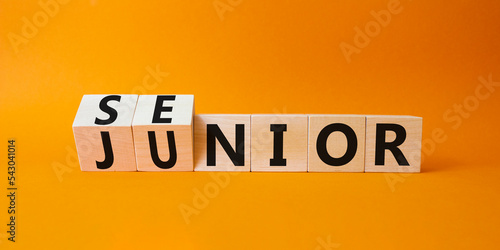 Senior and Junior symbol. Turned wooden cubes with words Senior and Junior. Beautiful orange background. Business and Senior and Junior concept. Copy space