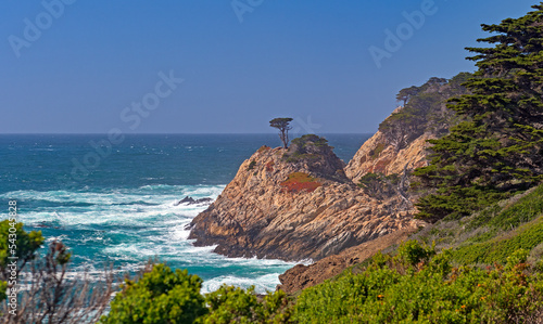Monterey Cypress on a Rocky Coast photo