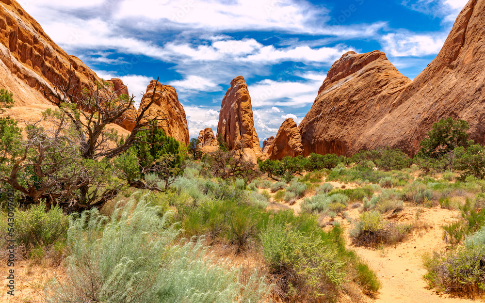 Fototapeta premium Rock Formation in Moab Desert, Arches National Park