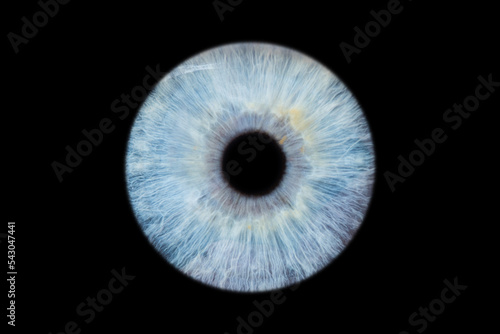 Human eye pupil close up isolated on black background