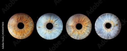 Human eye close up detail four pack isolated