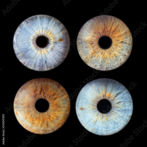 Human eye close up detail four pack isolated