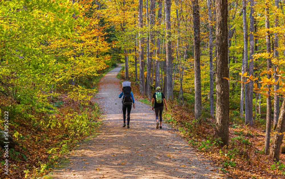 walk at the small trail walk at the small trail
