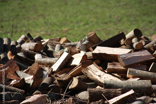 Madera cortada para el invierno