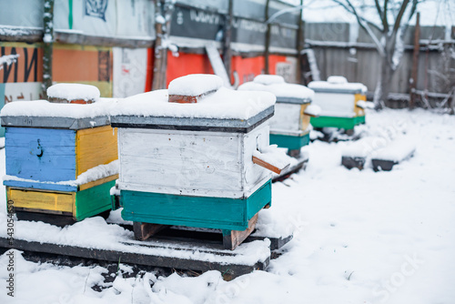 beehives in the garden in winter snow floor. Wintering honeybees in fresh air outside winter. Hives on apiary in December in Europe. old apiary of multi-hull hives.