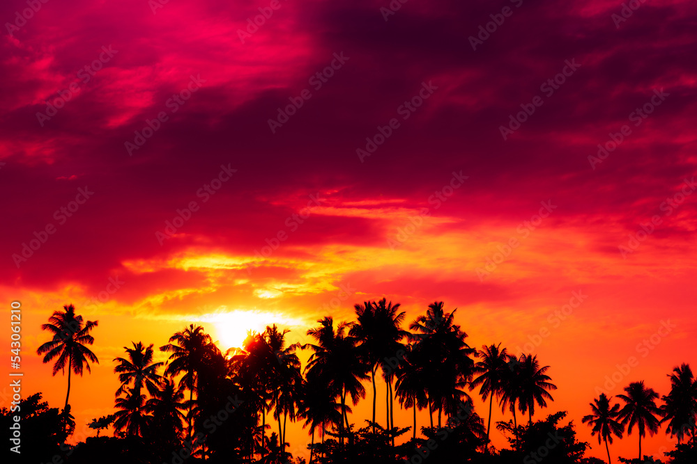 Coconut palm trees silhouettes and shining sun on tropical beach at colorful sunset