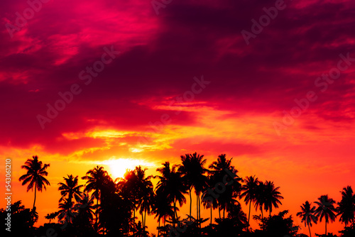 Fototapeta Naklejka Na Ścianę i Meble -  Coconut palm trees silhouettes and shining sun on tropical beach at colorful sunset