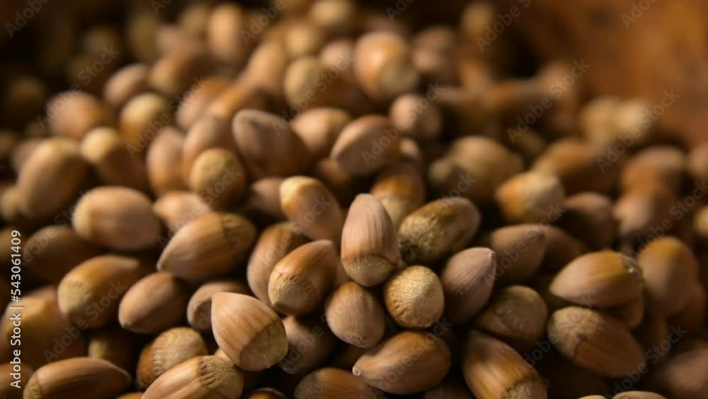 Hazelnuts Falling in a wooden recipient in Slow Motion Hazelnuts Falling in a wooden recipient in Slow Motion