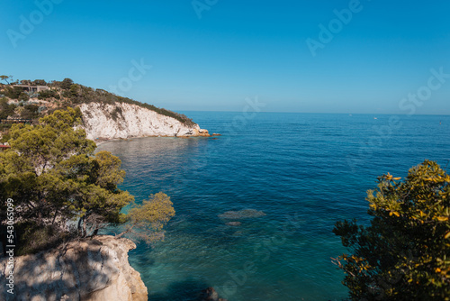 Amazing beautiful clear blue sea with sky  rocks and trees on Elba island  Italy