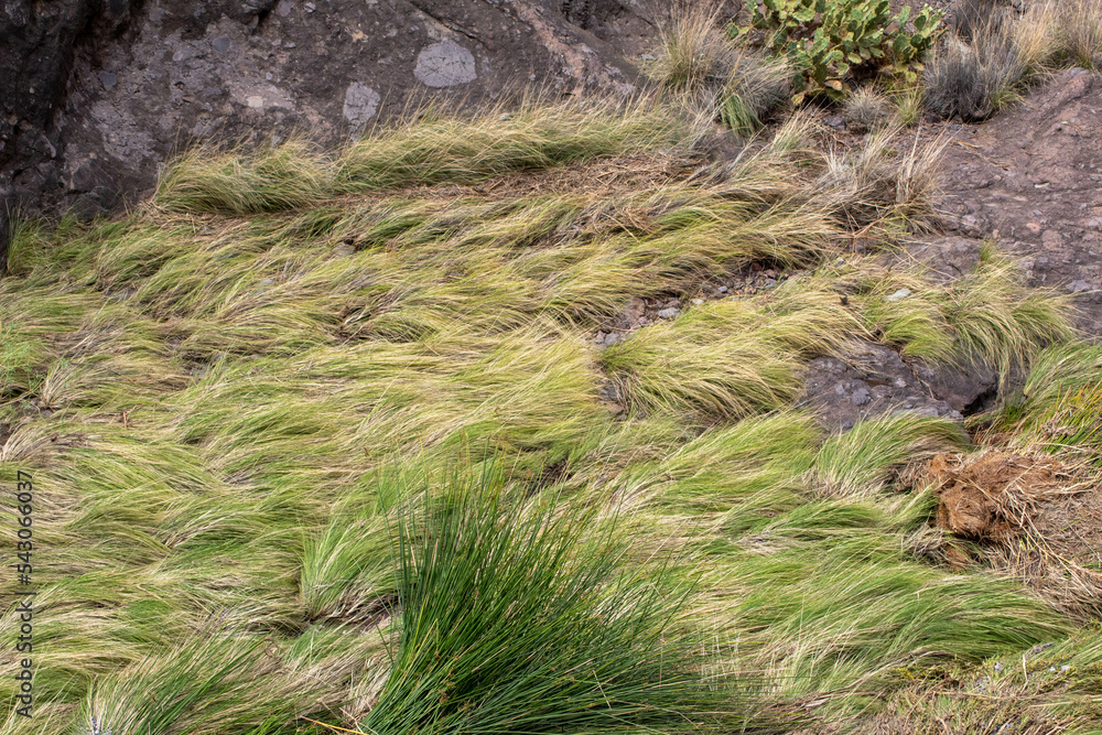 Paisaje de las Islas Canarias en medio de la naturaleza con una cascada famosa en sus montañas