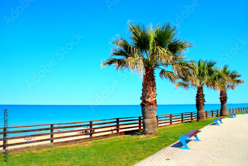 Enchanting scene in Porto Potenza Picena with three palm trees  four azure benches  white paved walk  green grass and the pristine waters of the Adriatic Sea in the background on a fine summer day