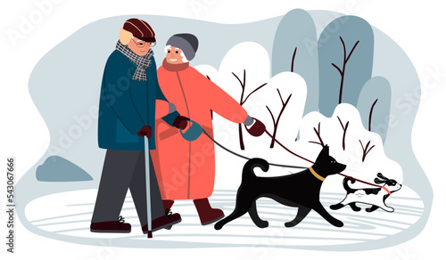 A couple of elderly people walking their dogs in winter.Man and woman in warm coats,boots and hats,communicate with each other.Background with snowy bushes and trees.Vector flat style illustration.