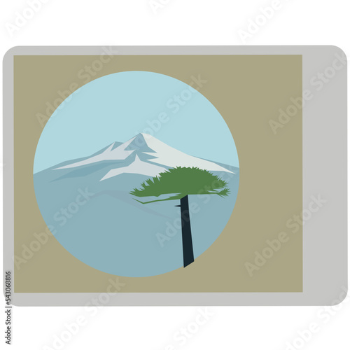 araucaria tree from southern chile,  full color illutration icon, green landscape