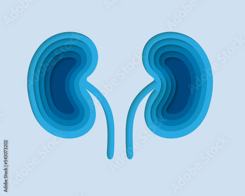 Kidneys 3d symbol in paper cut style. Urinary, human transplantation design. Internal organ cut out of paper banner.