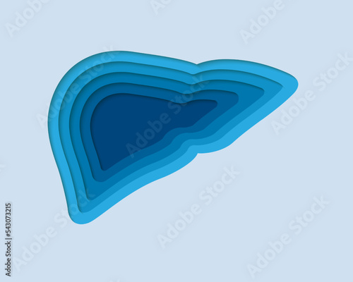 Liver 3d symbol in paper cut style. Hepatitis, human transplantation design. Organ anatomy cut out of paper banner.