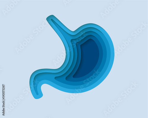 Stomach 3d symbol in paper cut style. Digestive system, human transplantation design. Organ anatomy craft illustration.