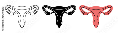 Set of woman reproductive system symbols. Human reproductive system icons in color, black and thin line style. Vector illustration. Human organ icons