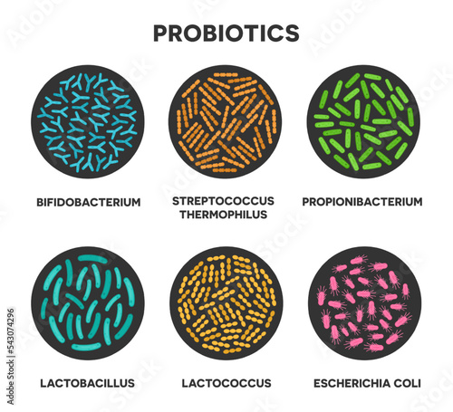 Probiotics in a circle. Microscopic probiotics. Bifidobacterium, lactobacillus, lactococcus, streptococcus thermophilus, propionibacterium.