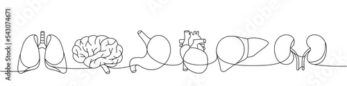 Set of human organ one line continuous drawing. Lungs, brain, stomach, heart, liver, kidneys continuous one line illustration.