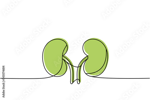 Human kidneys one line colored continuous drawing. Human organ continuous colorful one line illustration. Vector minimalist linear illustration.