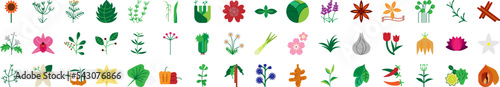Herbs icons collection vector illustration design