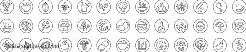 Vegan icons collection vector illustration design