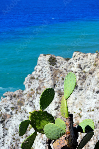 marine views of the coast of Capo Vaticano Calabria Italy