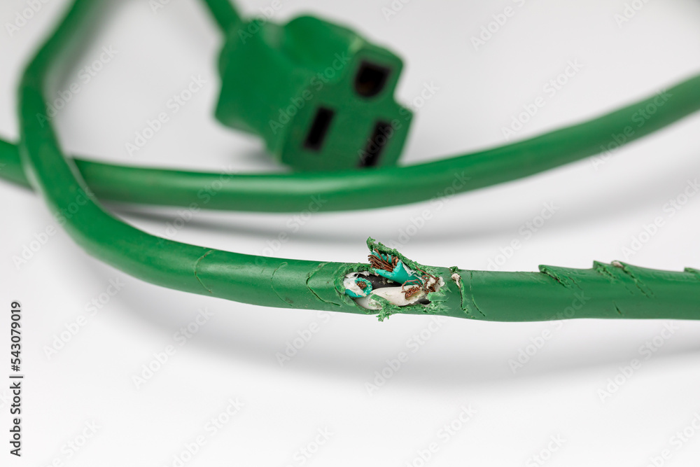 Electrical extension cord wiring damage from mice. Rodent control