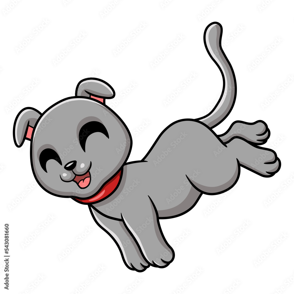 Obraz premium Cute scottish fold cat cartoon