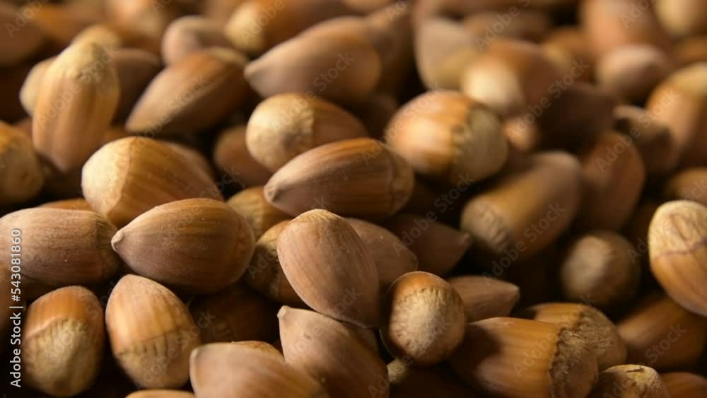 macro view on hazelnuts falling on other nuts rotating macro view on hazelnuts falling on other nuts rotating