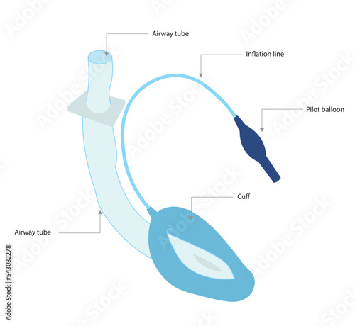 Laryngeal mask airway (LMA) structures illustration 