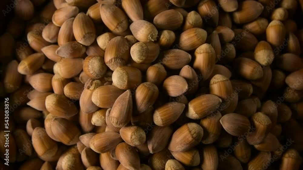 top view of a hazelnuts pile in rotation top view of a hazelnuts pile in rotation