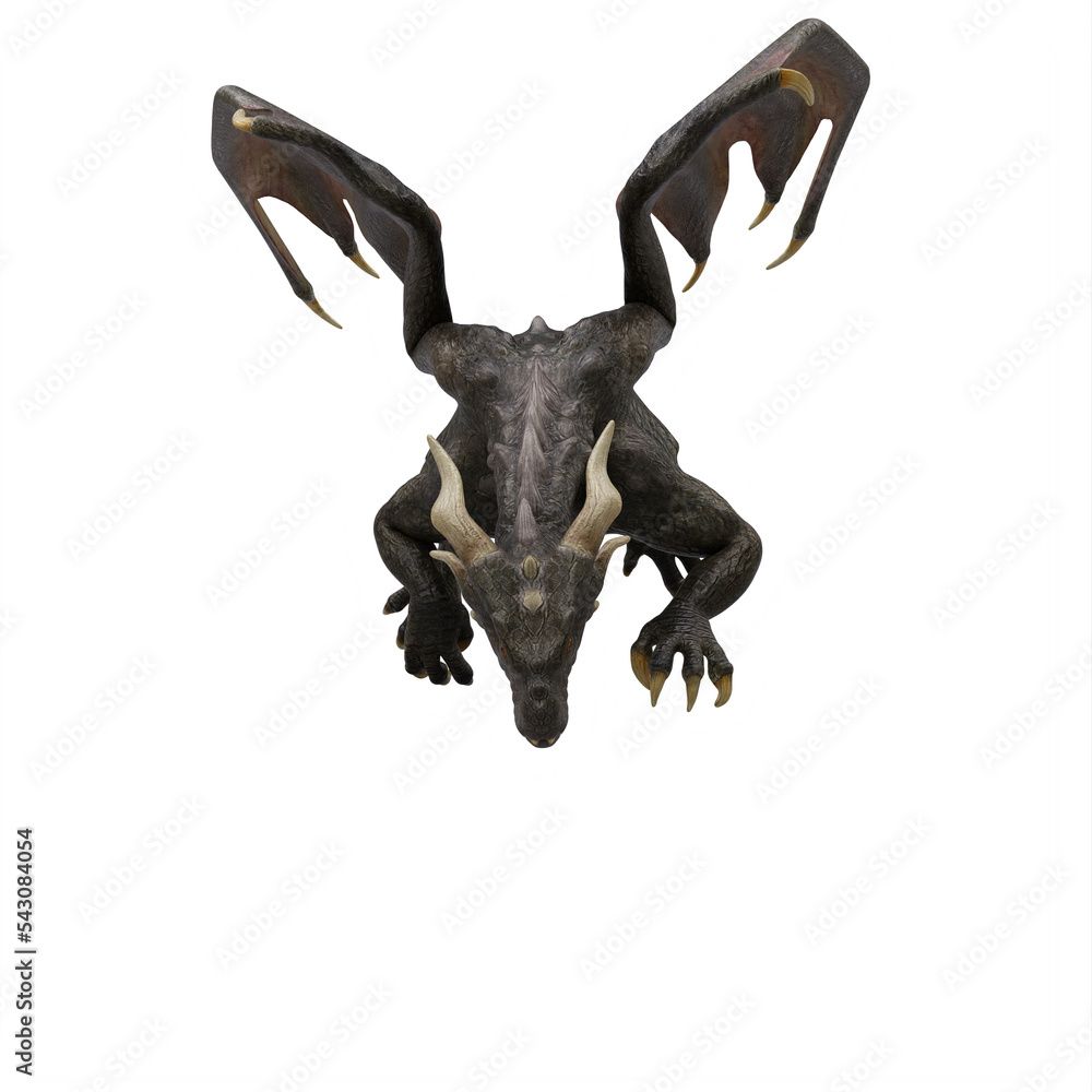 Obraz premium Dragon isolated