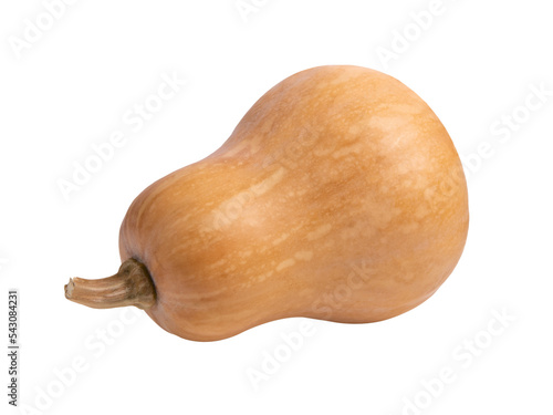 Tableau sur toile butternut isolated on transparent png