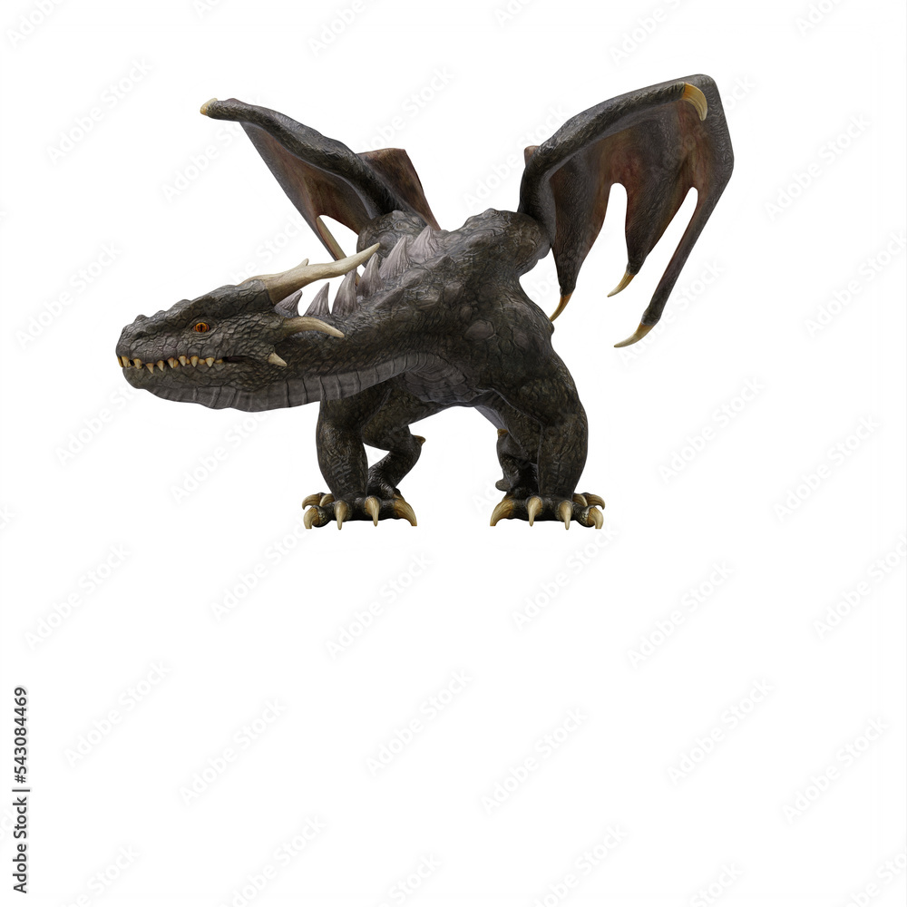 Obraz premium Dragon isolated