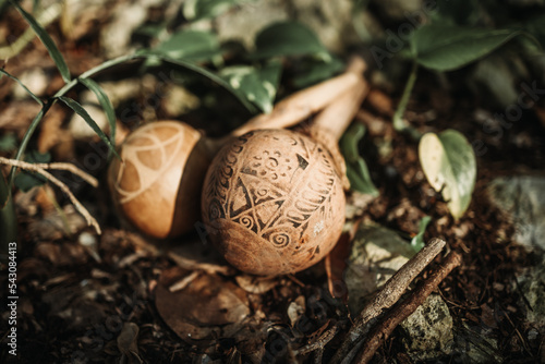 Painted wooden music instrument on the tropical forest floor during golden hour with green leaves and branches