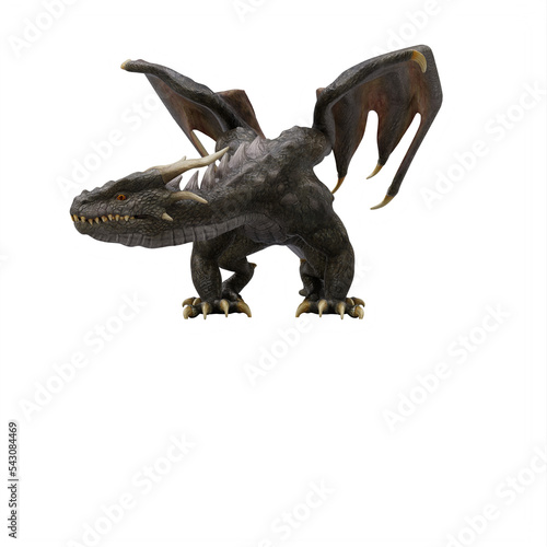 Dragon isolated