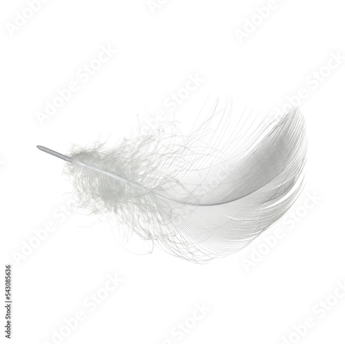 Fototapete white feather isolated