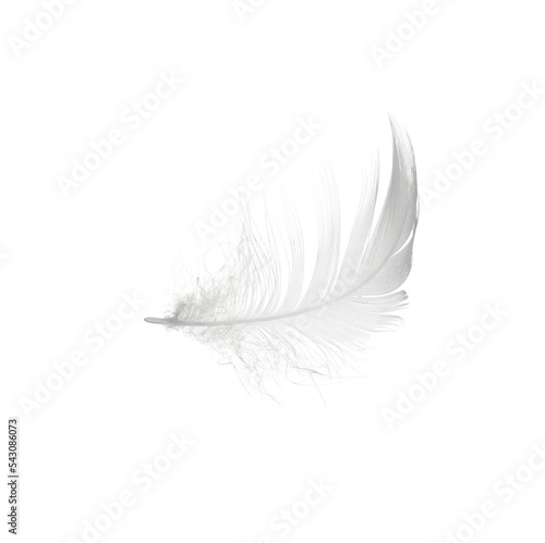 Fotografiet white feather isolated