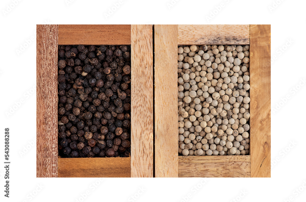 Black and white pepper seeds on tranparent background. Black and white pepper seeds on tranparent background.