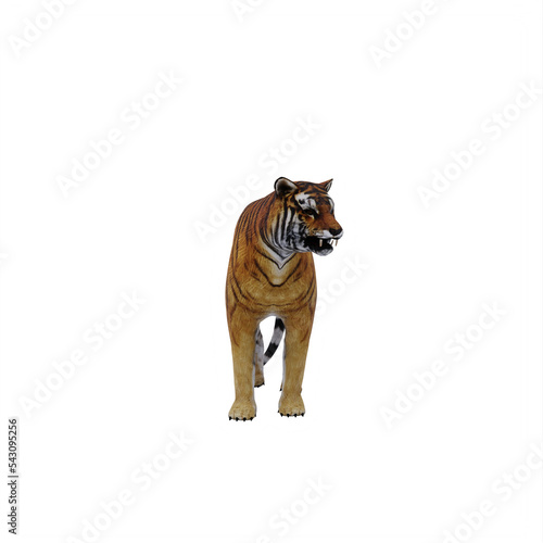 Fototapeta Naklejka Na Ścianę i Meble -  tiger isolated